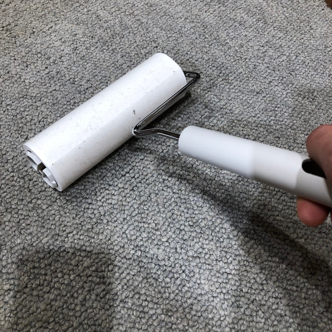 カーペットクリーナー1