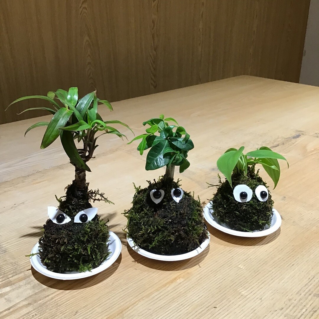 こけ玉