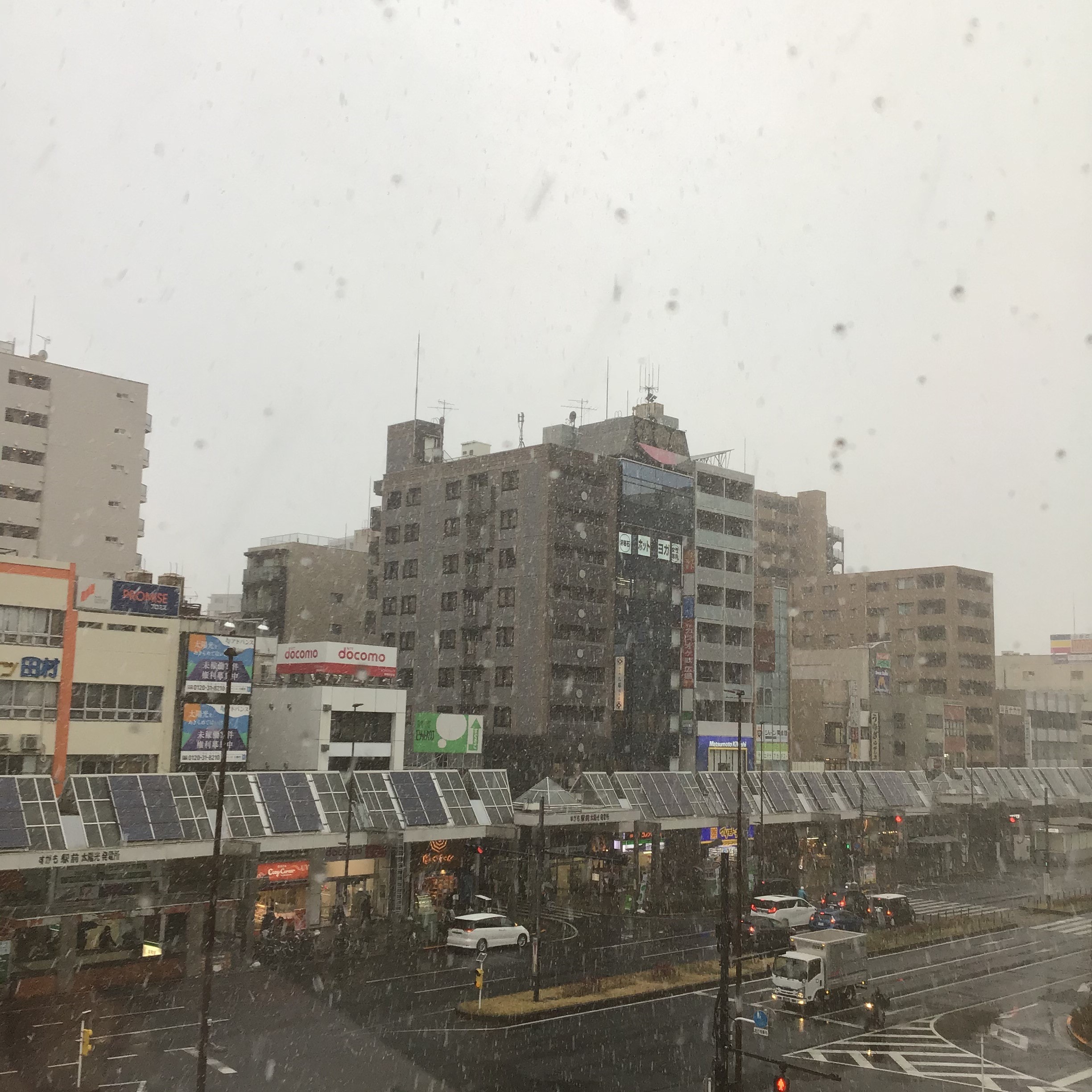 【巣鴨】雪が降りましたね