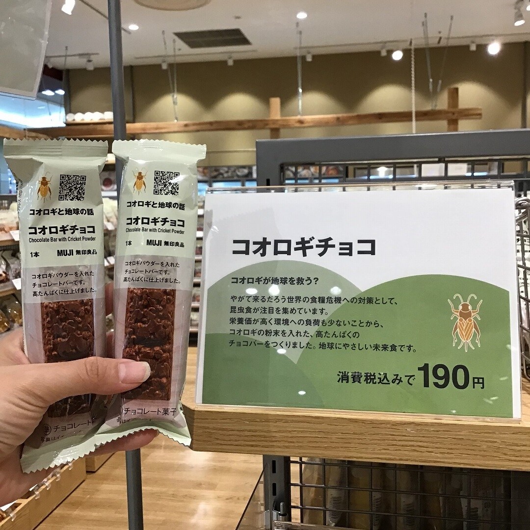 コオロギチョコ