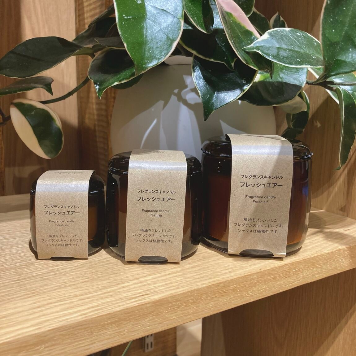 フレグランスキャンドル　フレッシュエアー