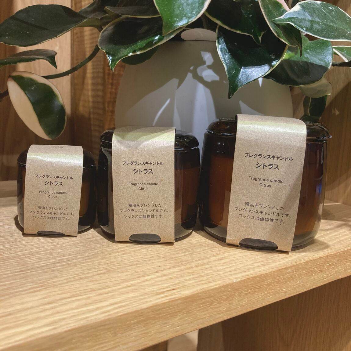 フレグランスキャンドル　シトラス