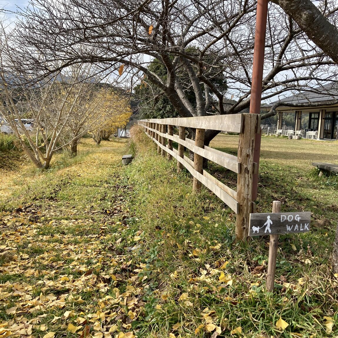 【みんなみの里】ブックス