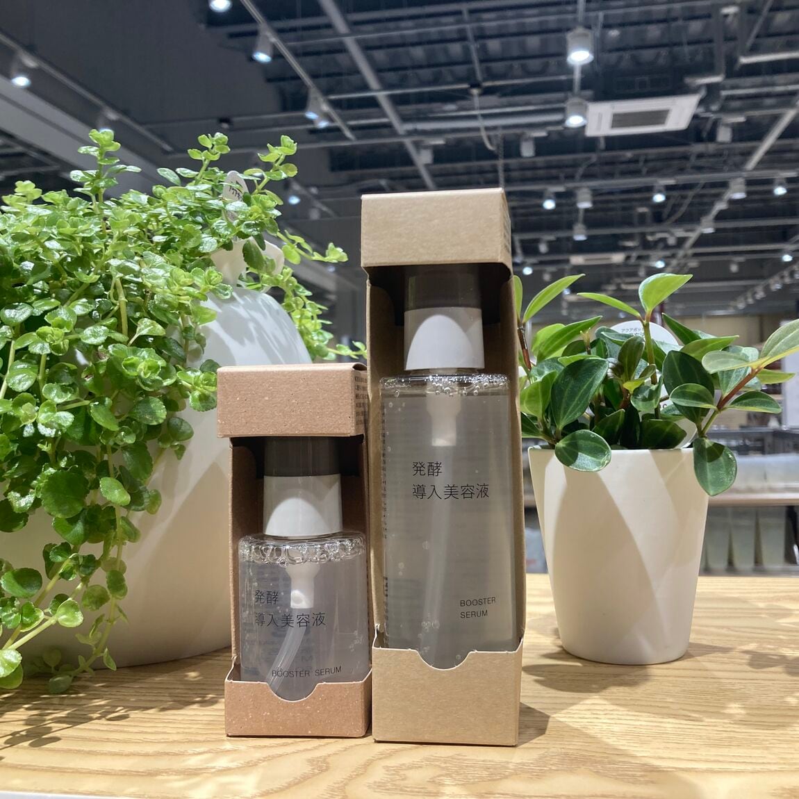 【小倉愛宕】お試し会内容