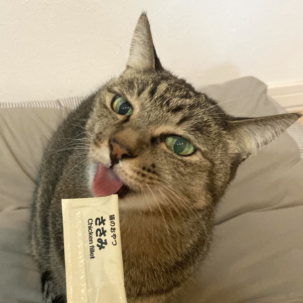 猫用おやつ