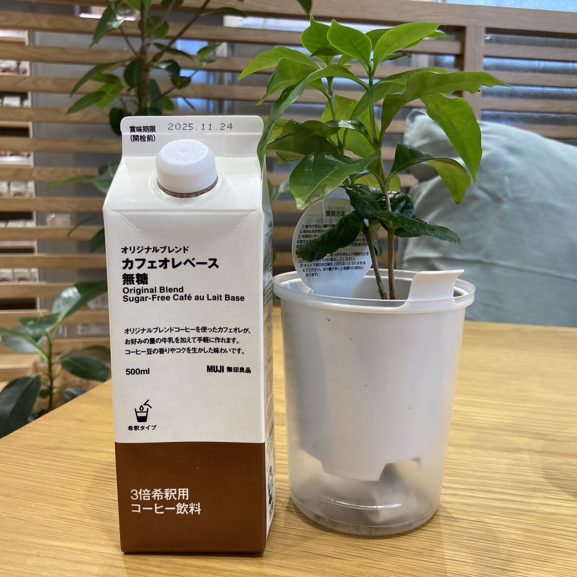 コーヒー