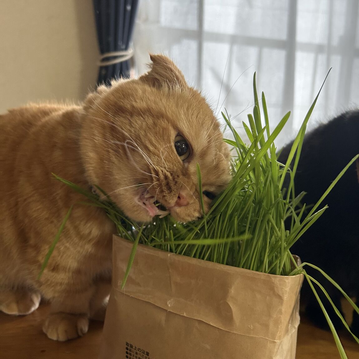 あ