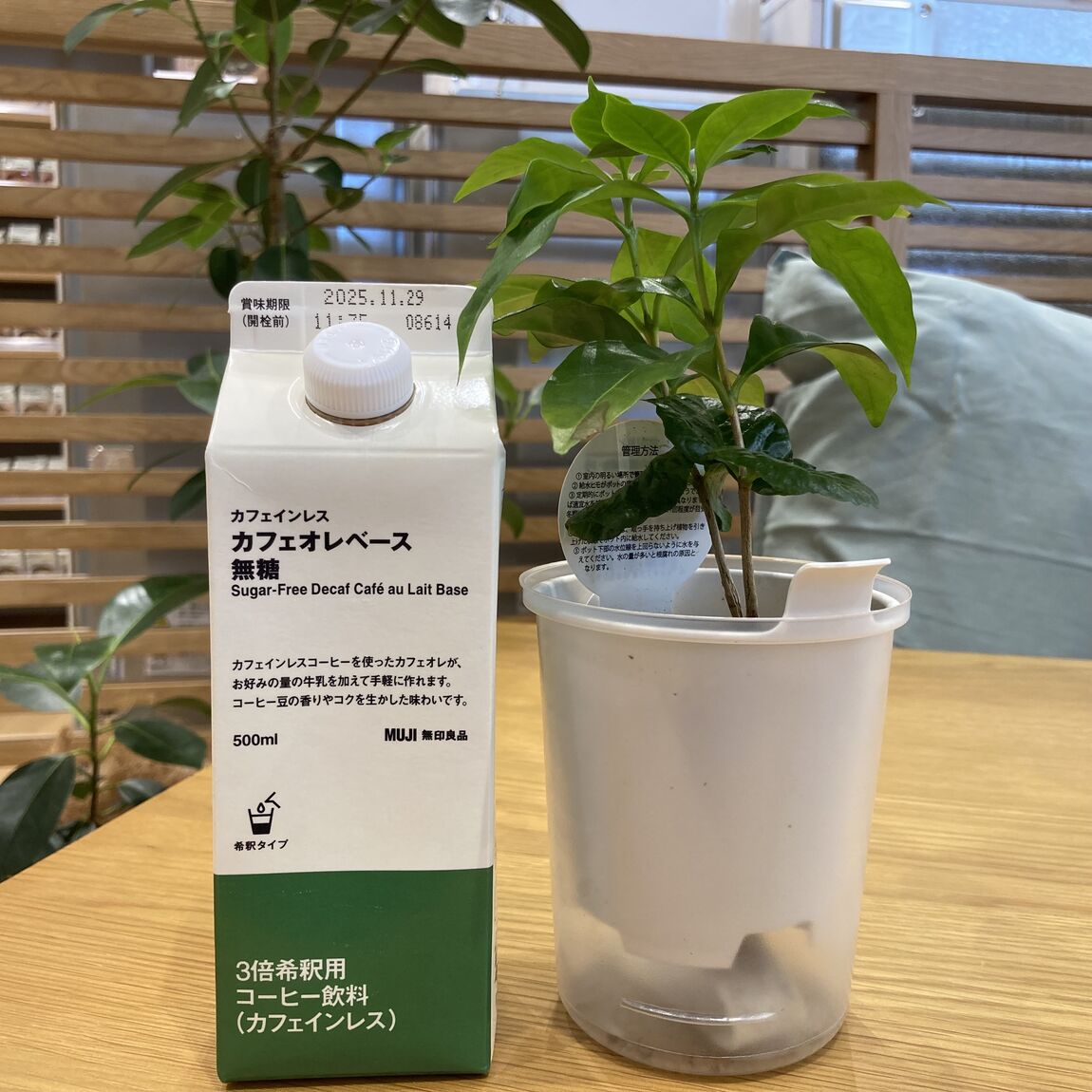 インレス