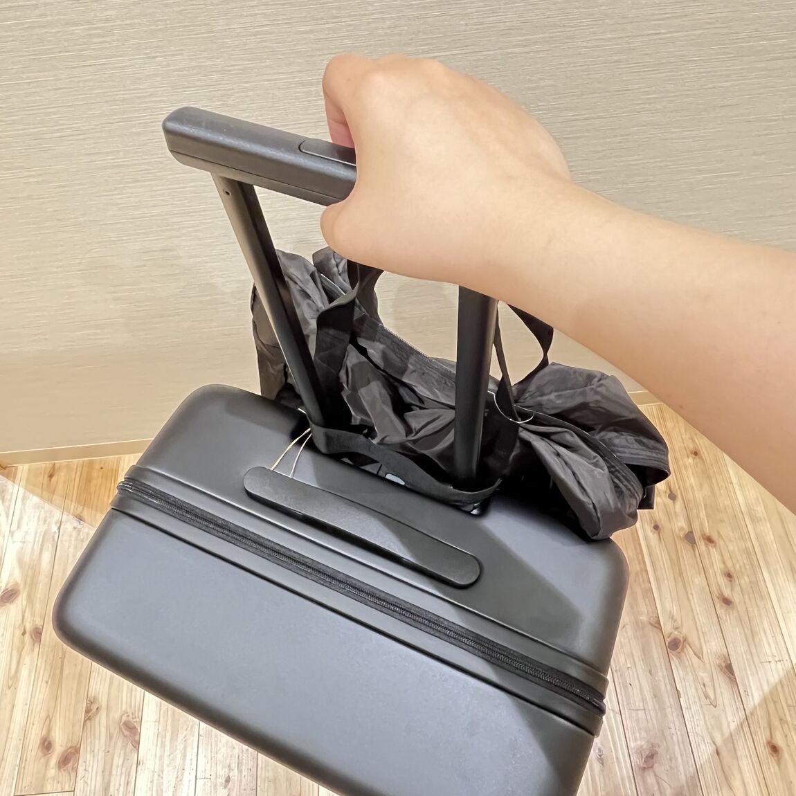 スタッフのおすすめ