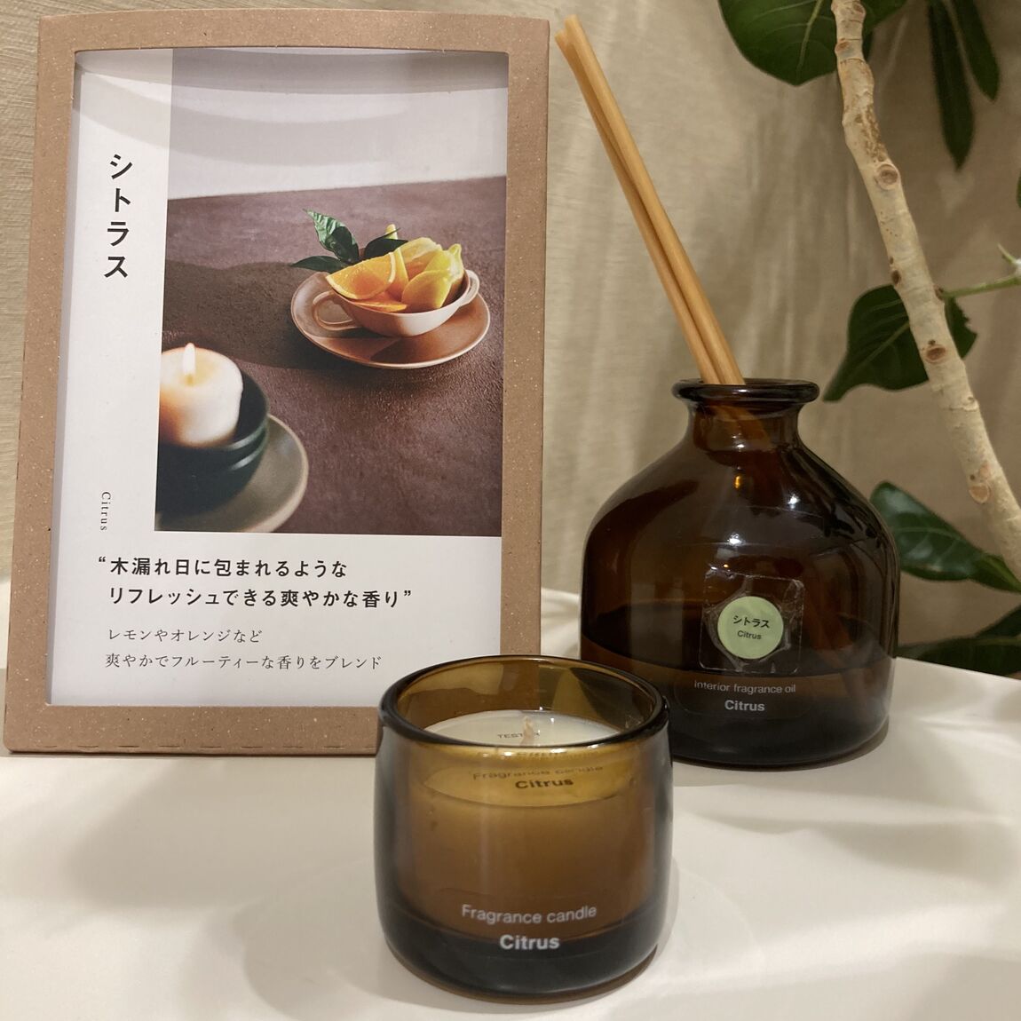 【イオンモール姫路大津】フレグランスキャンドルでほっとひと息つきませんか？