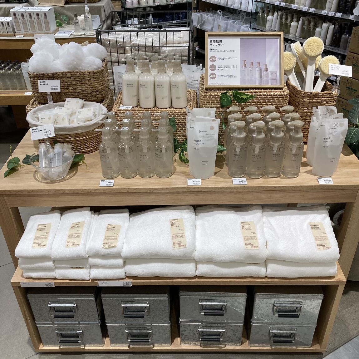 スタッフのおすすめ