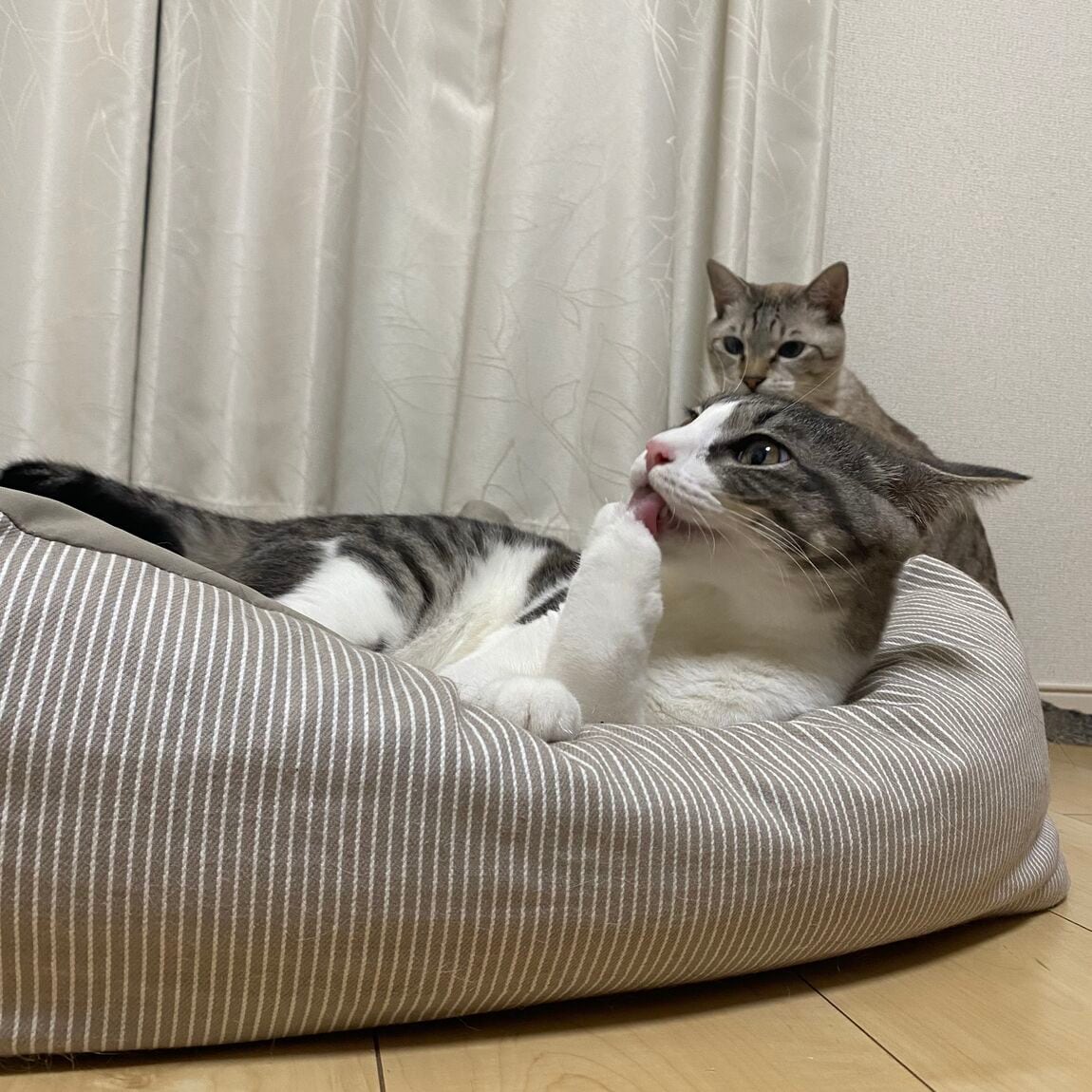 【ヨシヅヤ笠松】スタッフJのリアルバイ