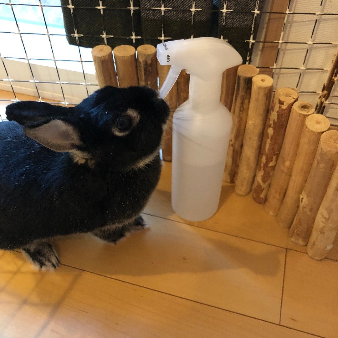 乾燥を知るところ