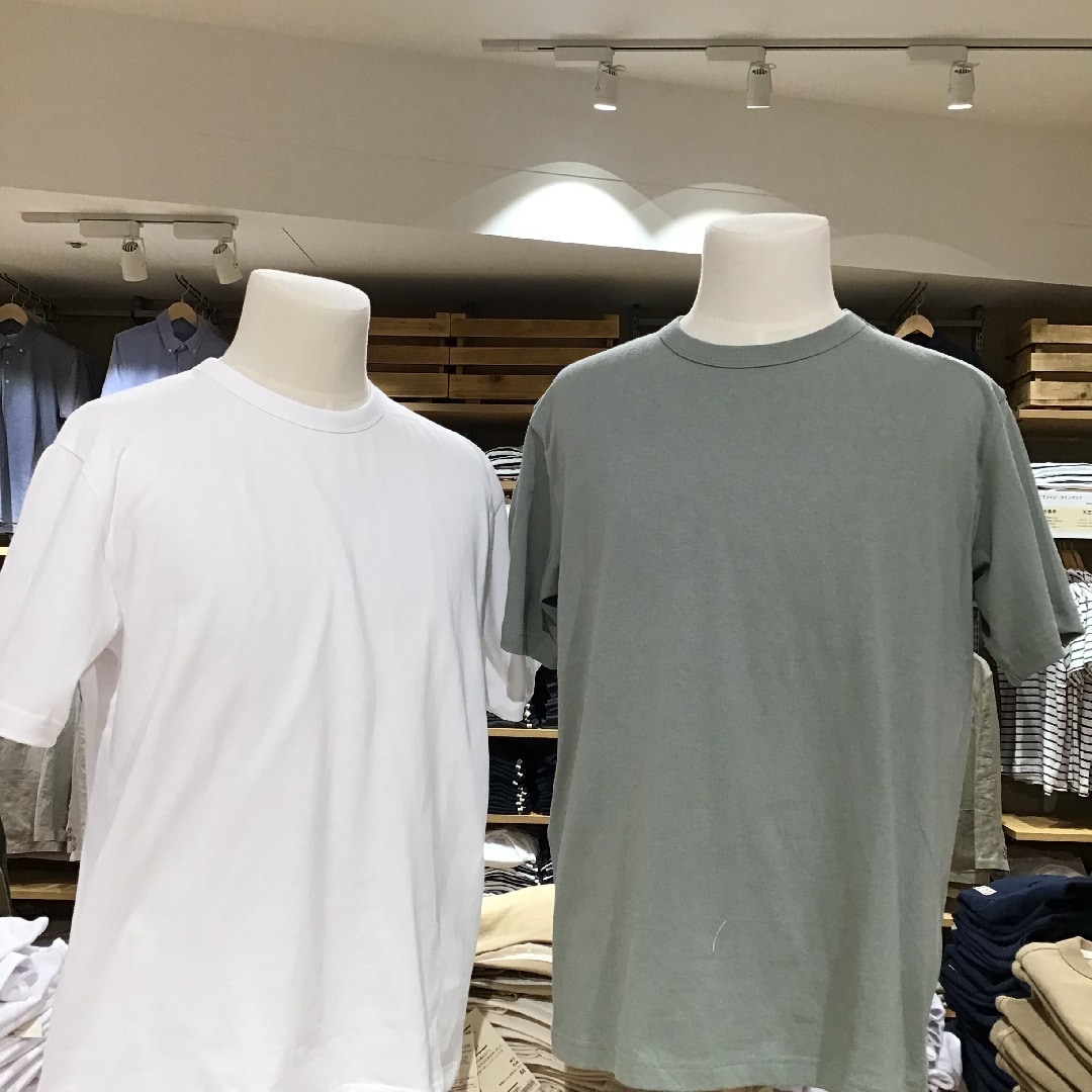 Tシャツ着用した半身トルソー
