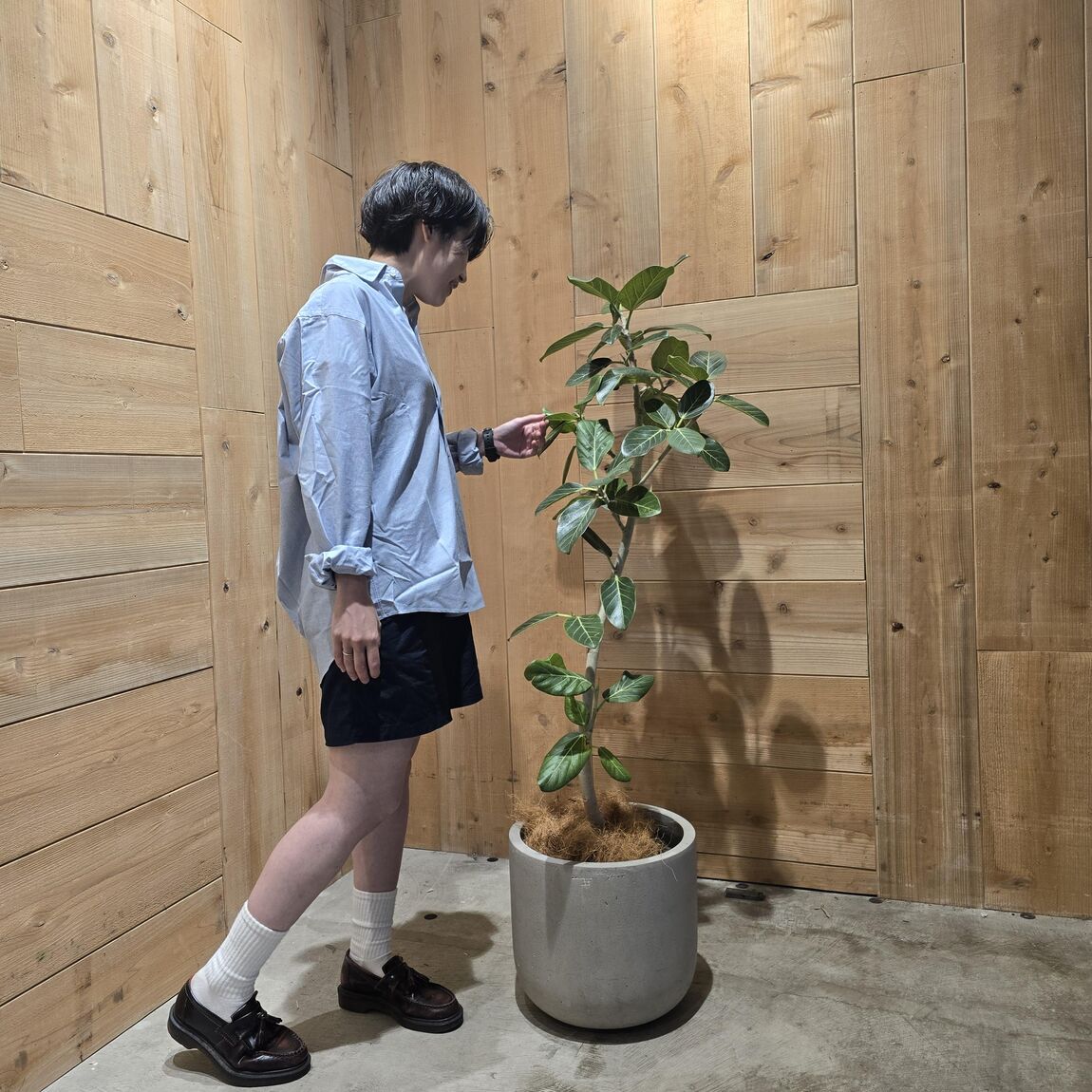 観葉植物とショートパンツ姿のスタッフ