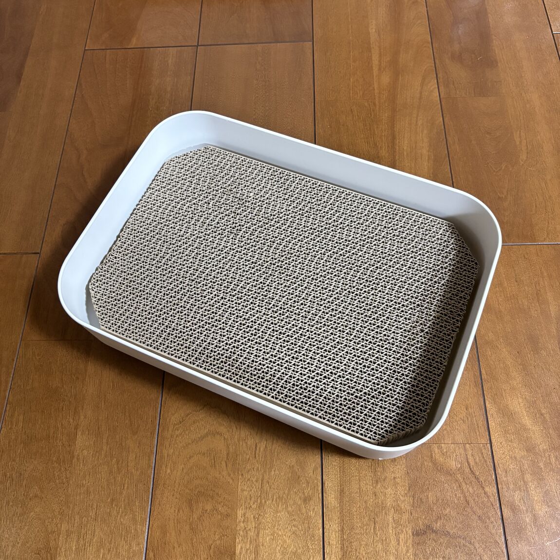 045301_20250917_06_03.jpq