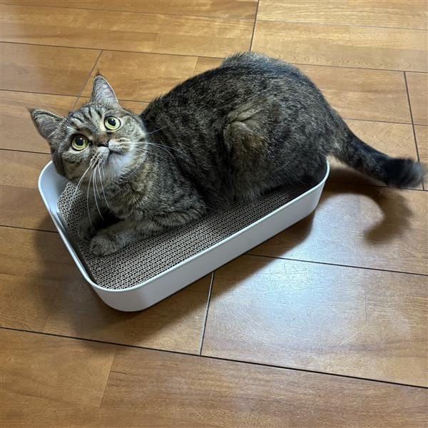 045301_20250917_06_05.jpq