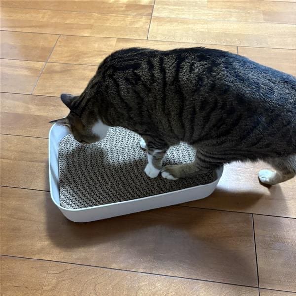 045301_20250917_06_04.jpq