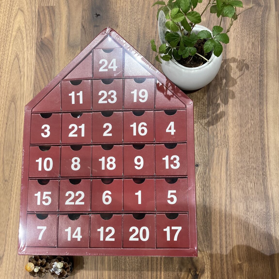 truoka2025.11.18　1