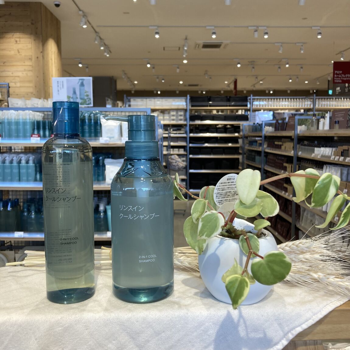 【知多】スタッフのおすすめVol.67 ❘ クールシリーズ