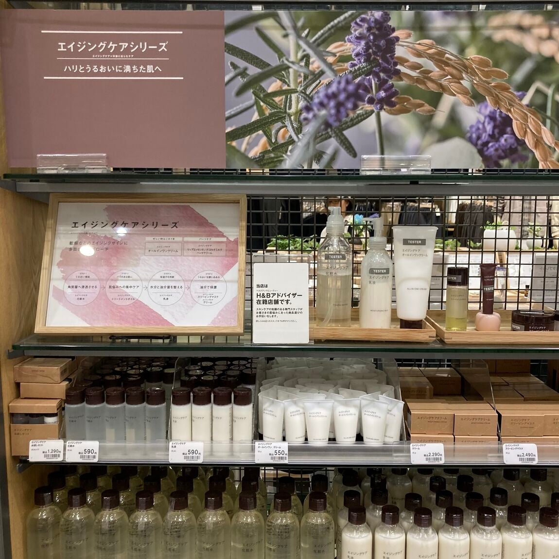 エイジングケア