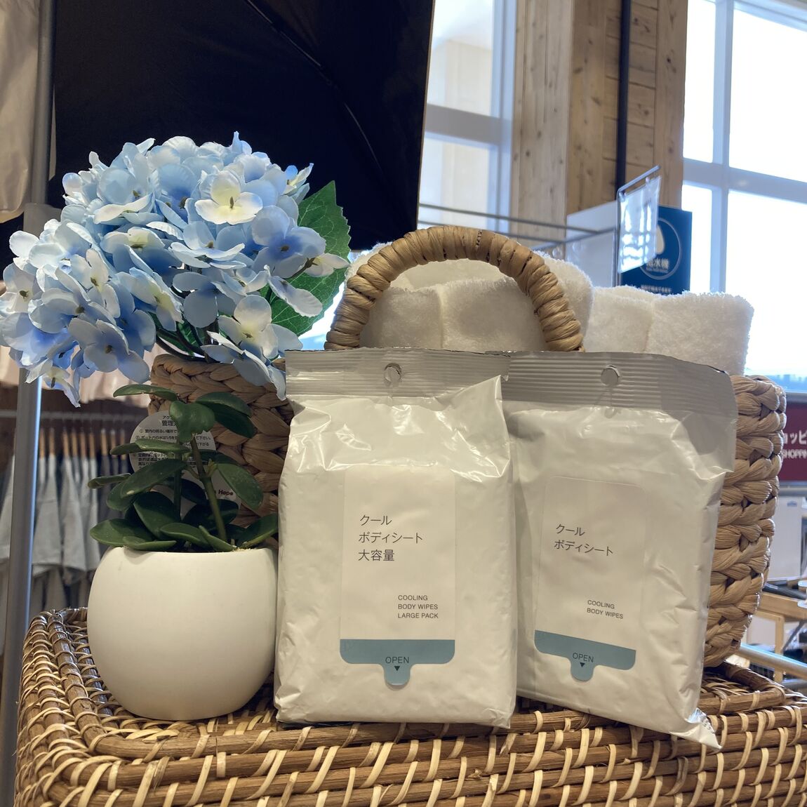 【知多】スタッフのおすすめVol.67 ❘ クールシリーズ