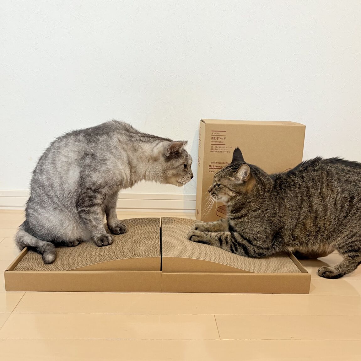 【イオンモール各務原】爪とぎベッドなどペット商品が新発売しました