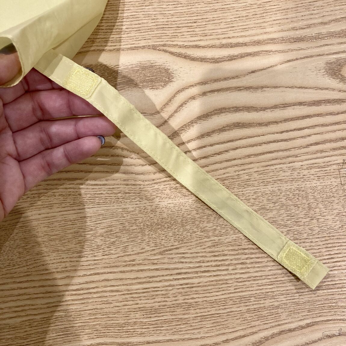 裏表