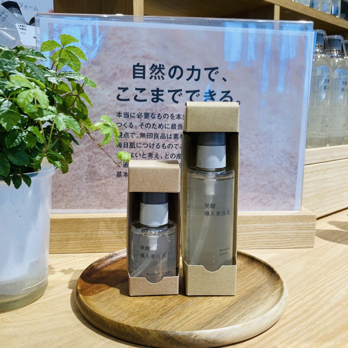 発酵導入美容液