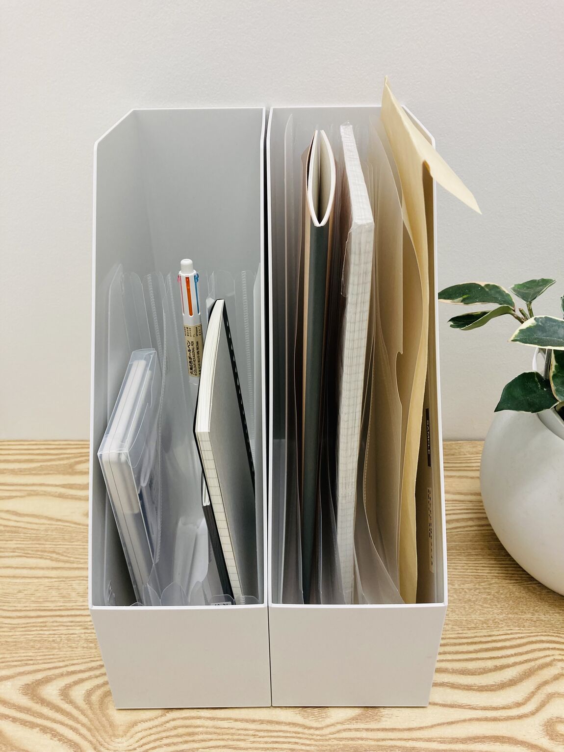 【ゆめシティ新下関】じゃばらファイル