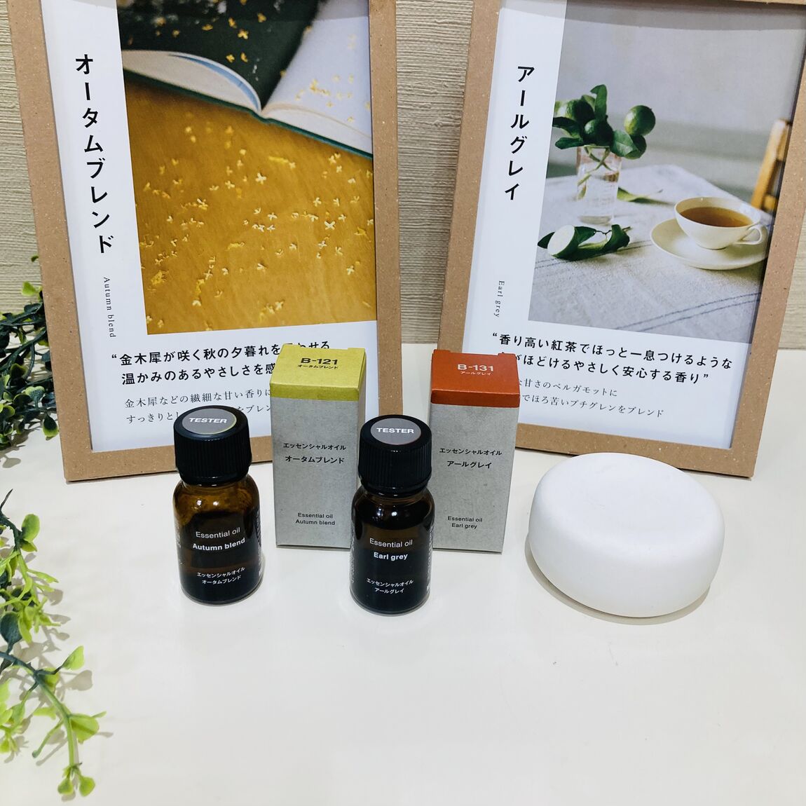【イオンモール大和】新商品｜季節限定のフレグランス_51dqwS