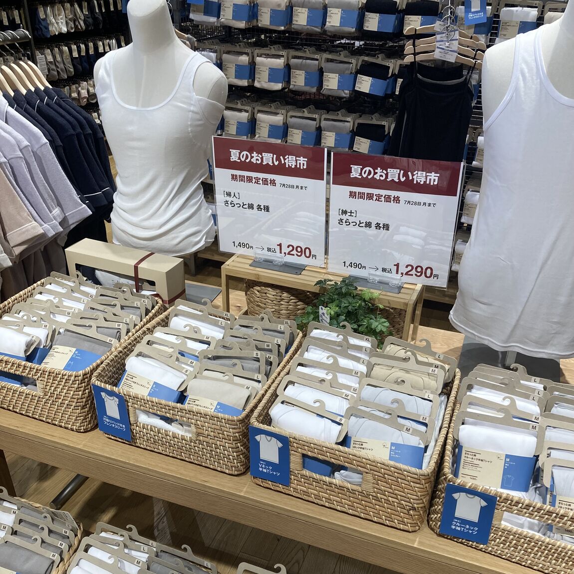 夏のお買い得市　さらっと綿