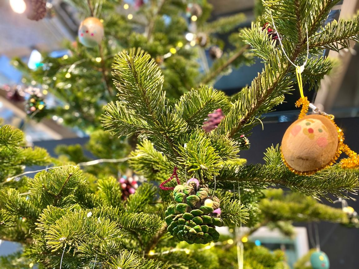 【シエスタハコダテ】クリスマスツリー登場しました。3