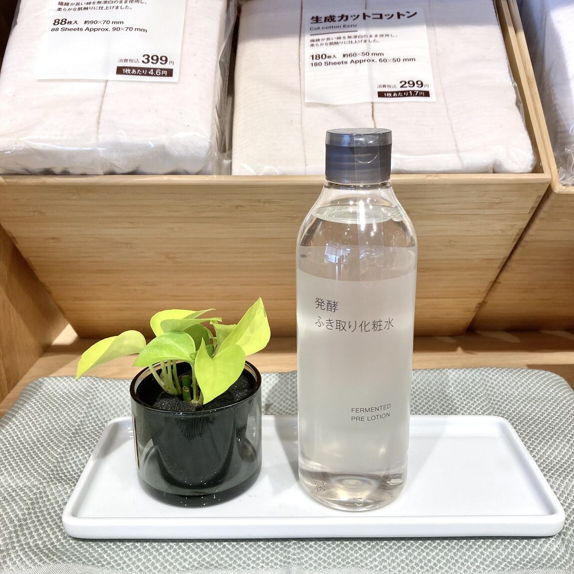【つくばみらい】　新商品　発酵ふき取り化粧水_v49V7h