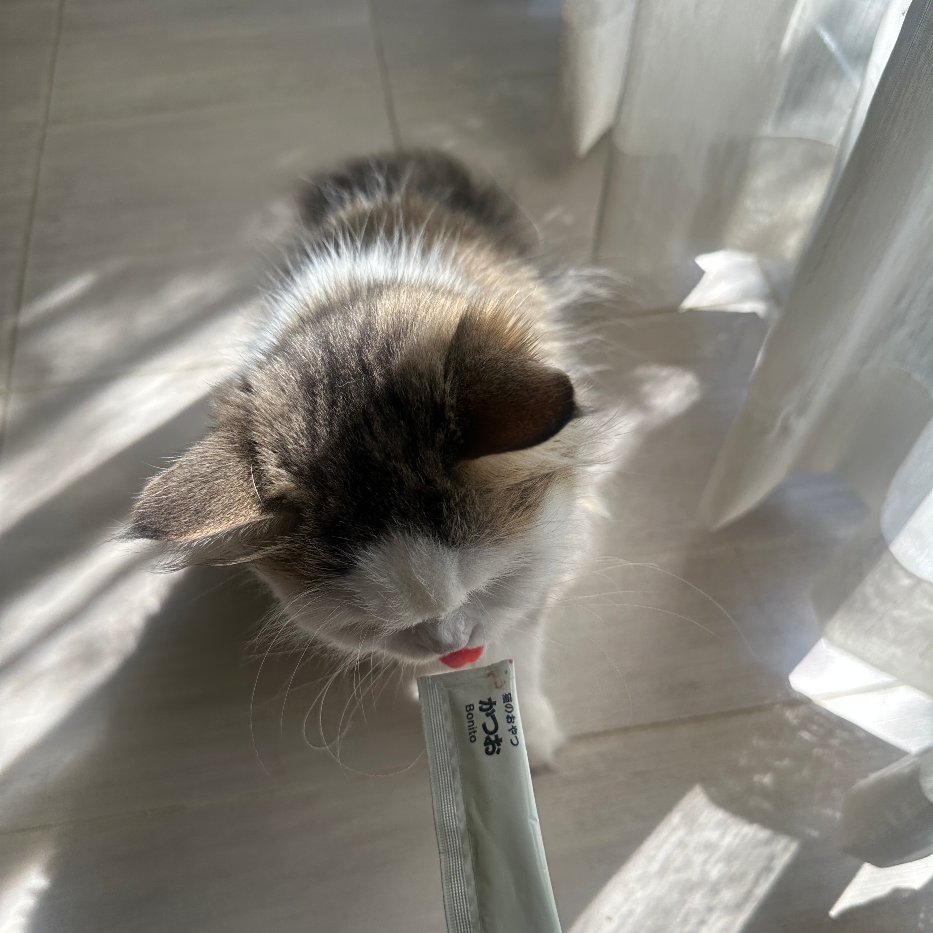 スタッフのおすすめ