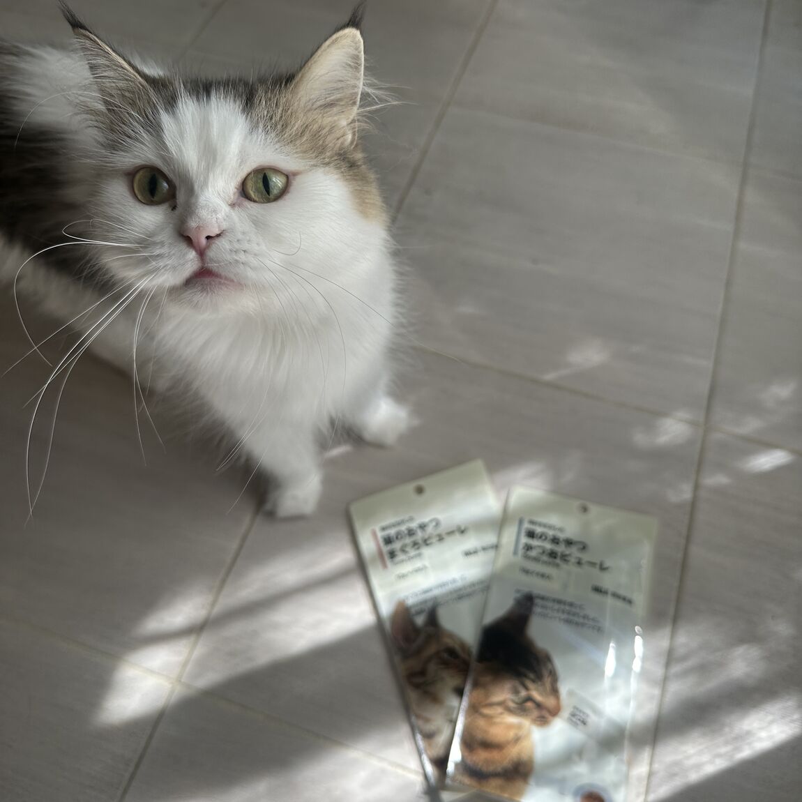 スタッフのおすすめ