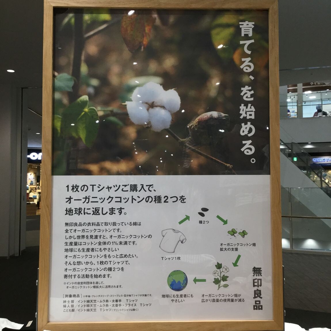 【イーアスつくば】汗ばむ季節に　ムラ糸Ｔシャツ
