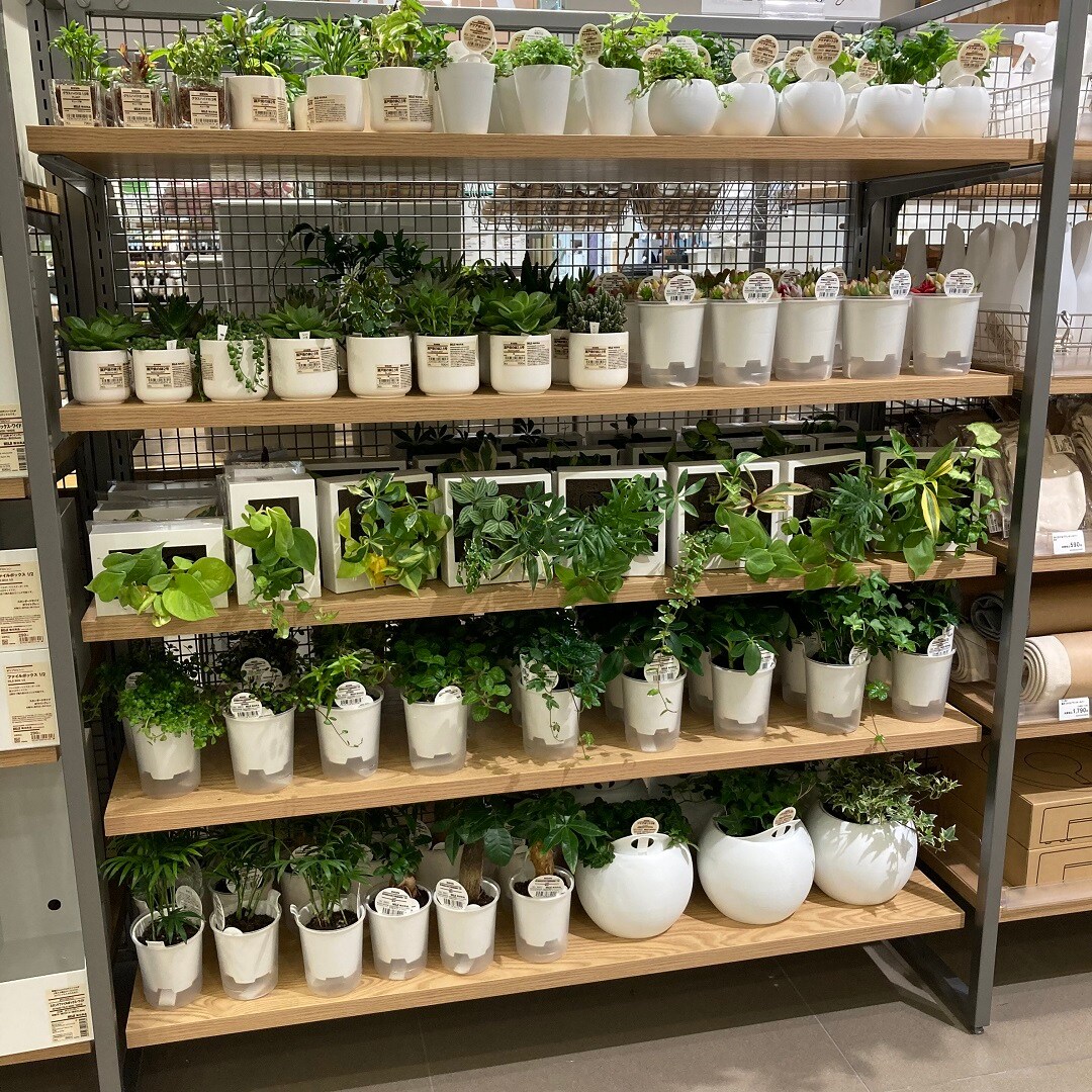 グリーン売場