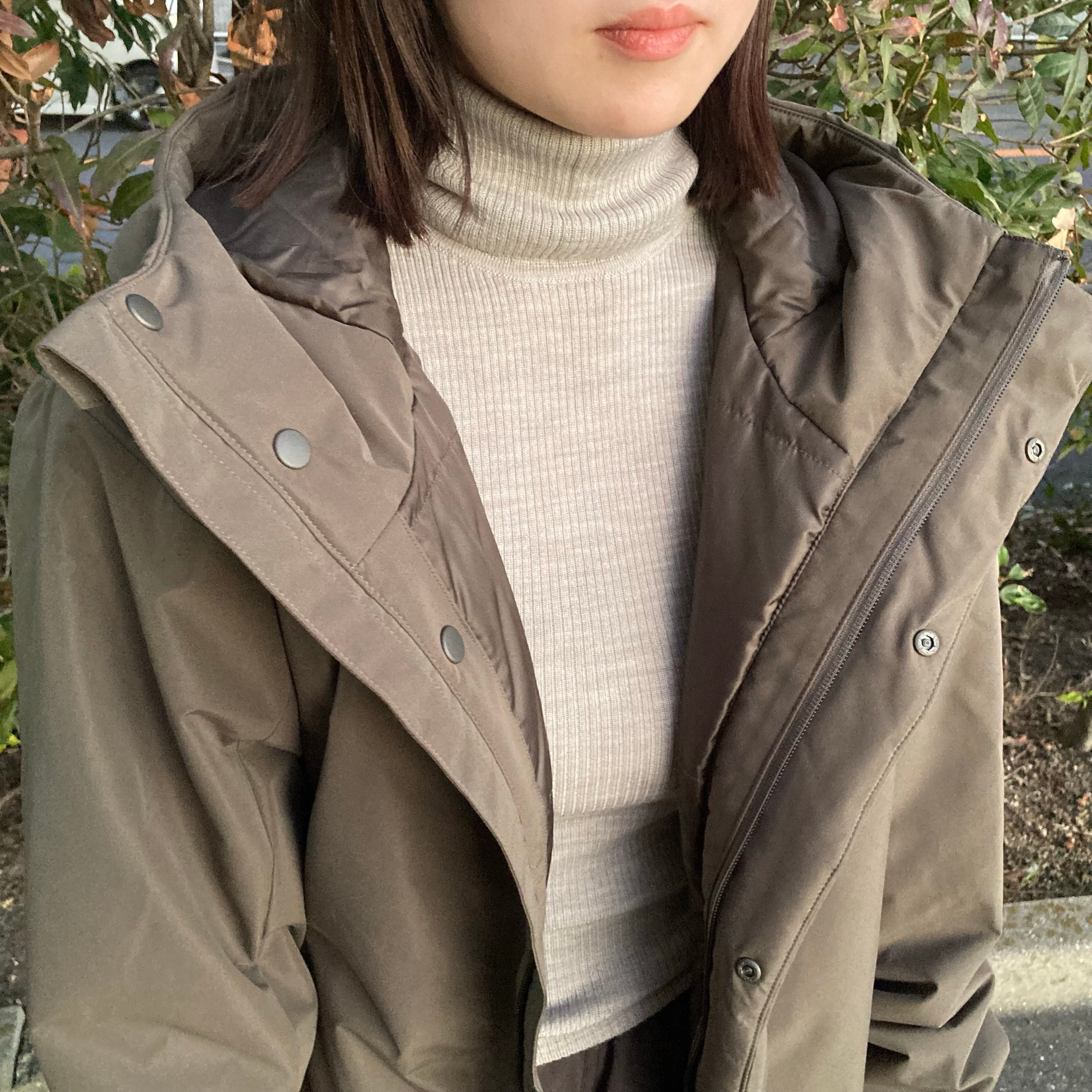 ハイゲージタートル