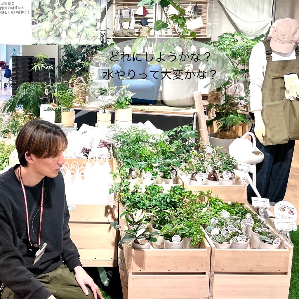 グリーンコーナーで悩む姿を見て