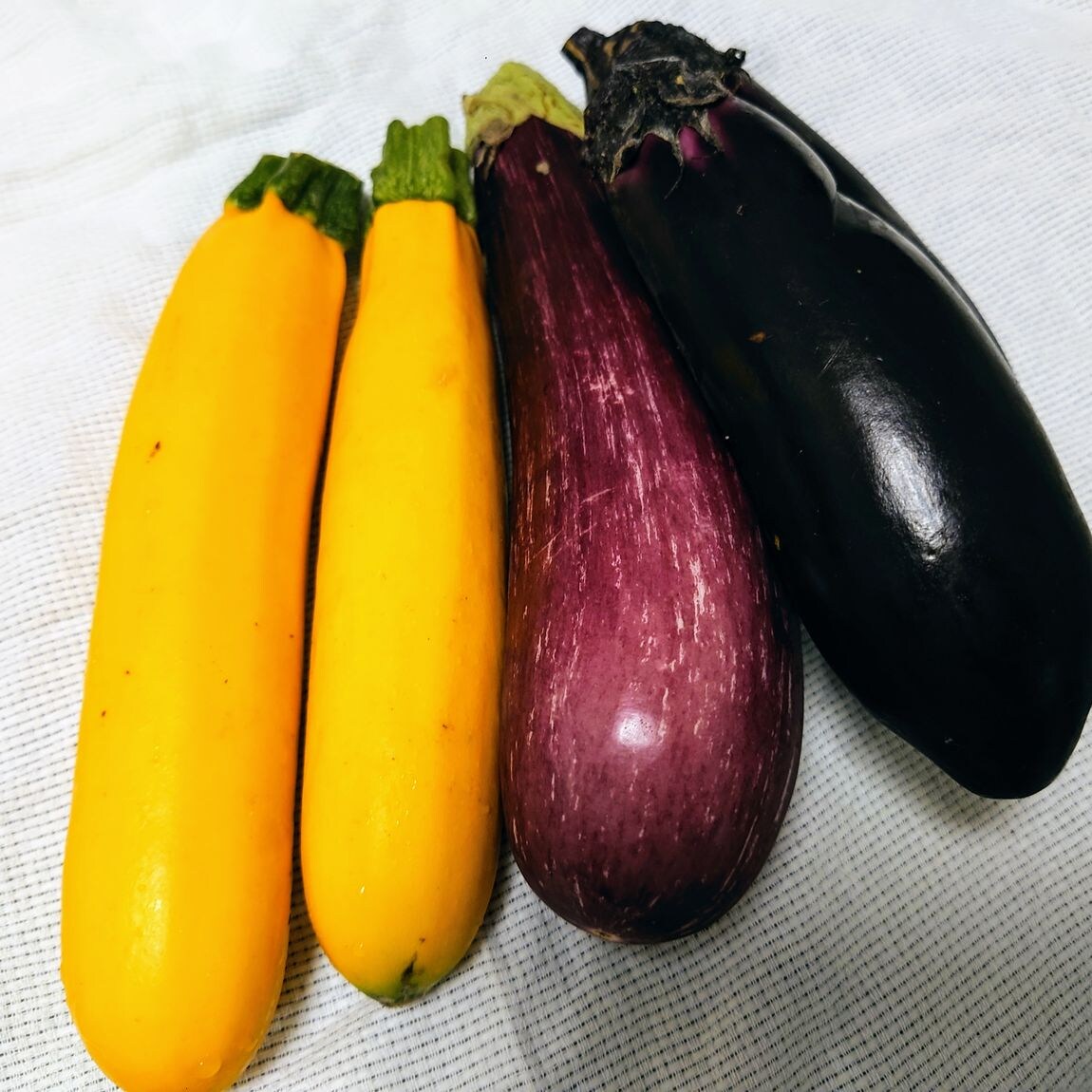 なすとズッキーニ