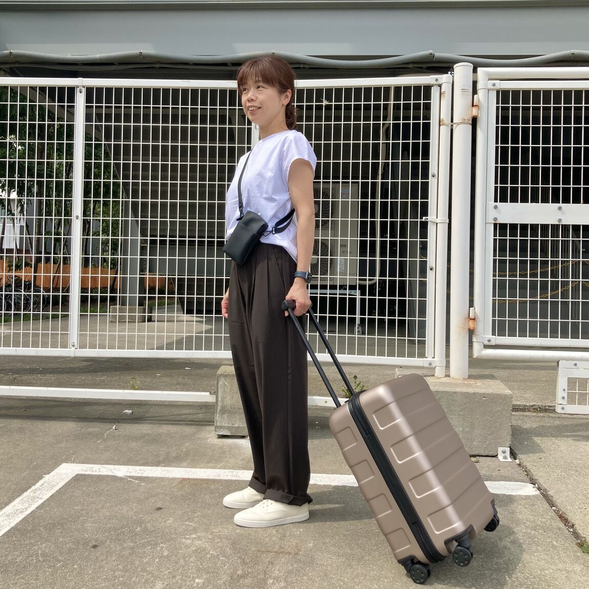 キャリー