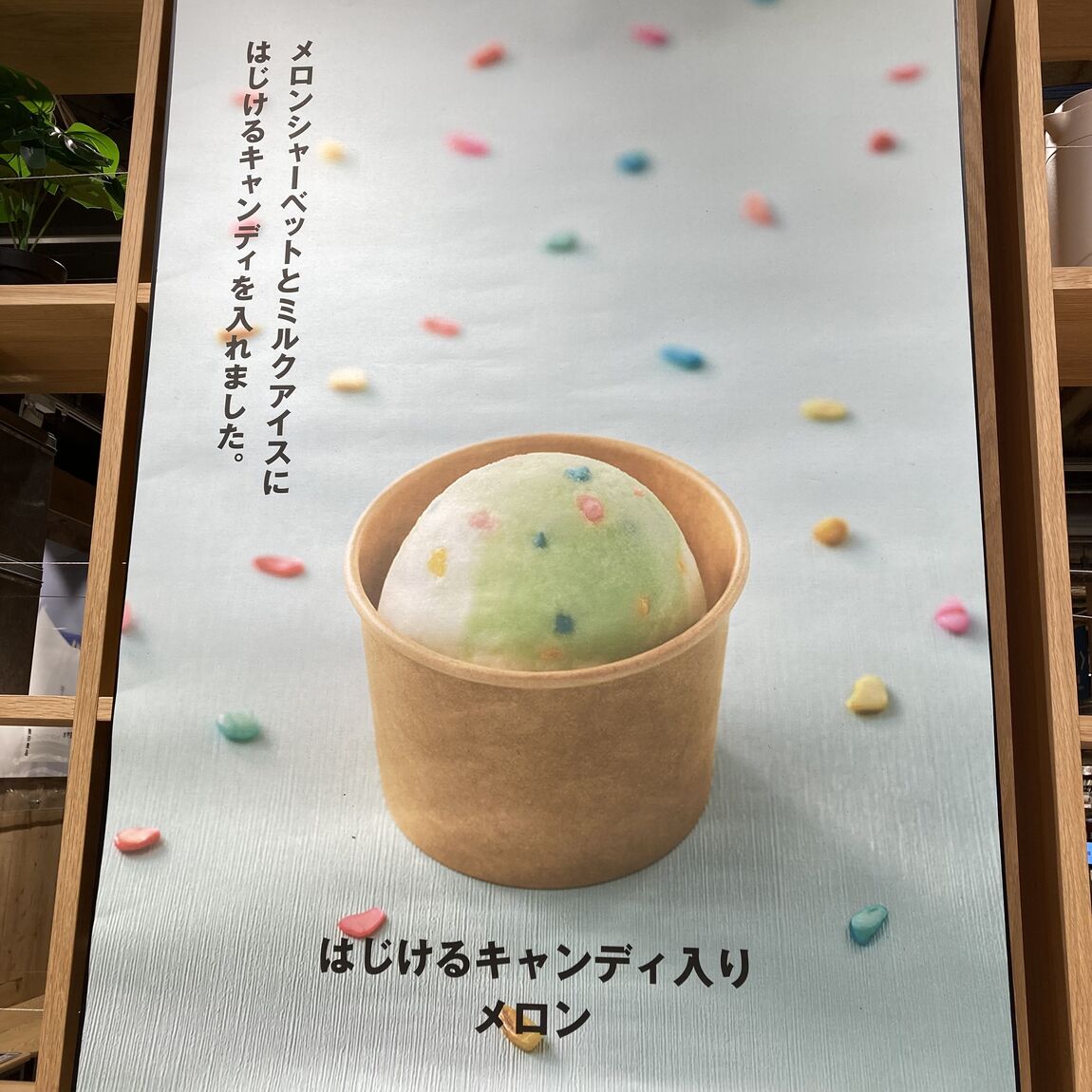 【コープ二条駅】新作アイスのご紹介_ze1Ws8