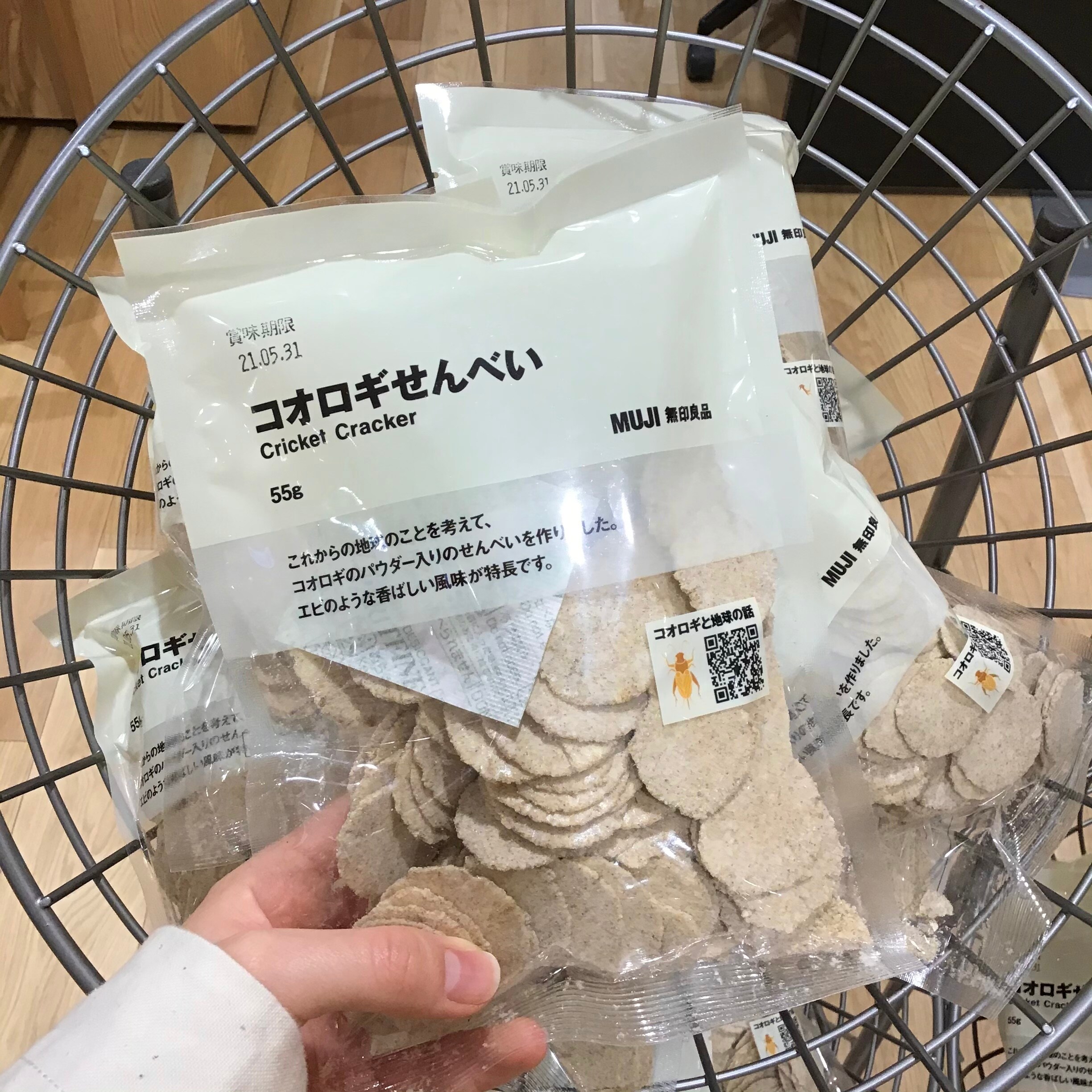 コオロギ