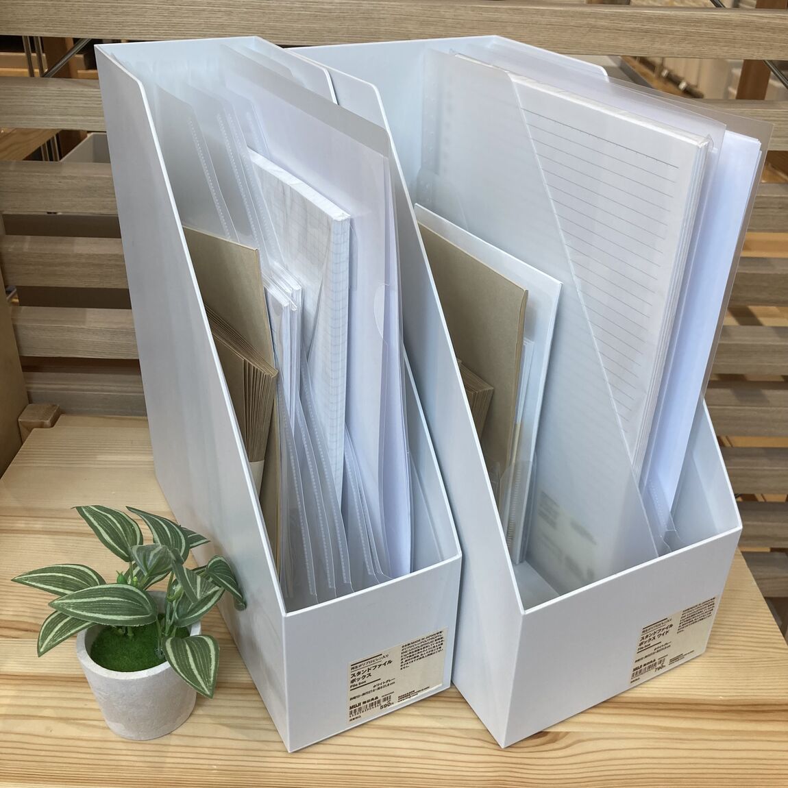 じゃばらファイル3