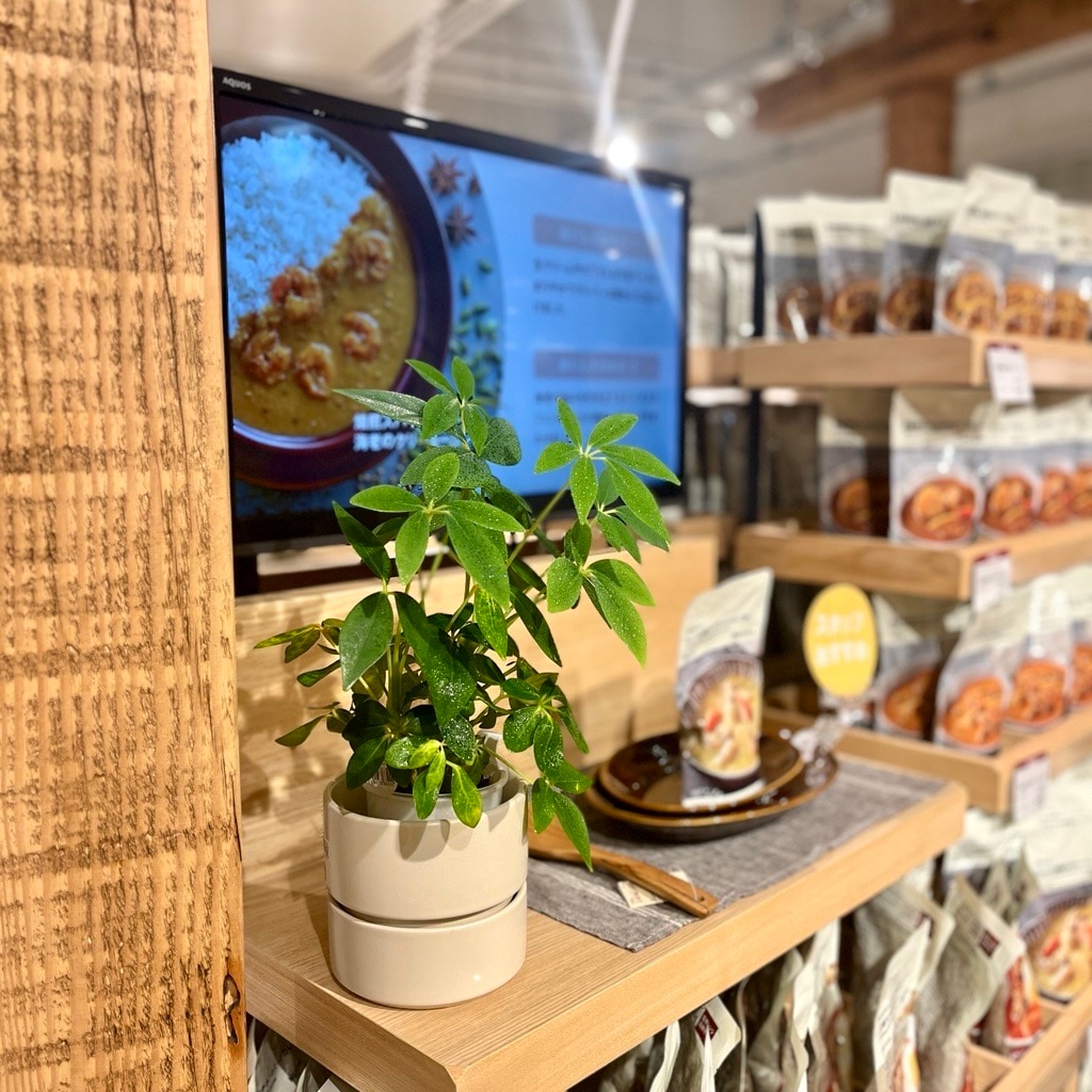 食品売り場の観葉植物