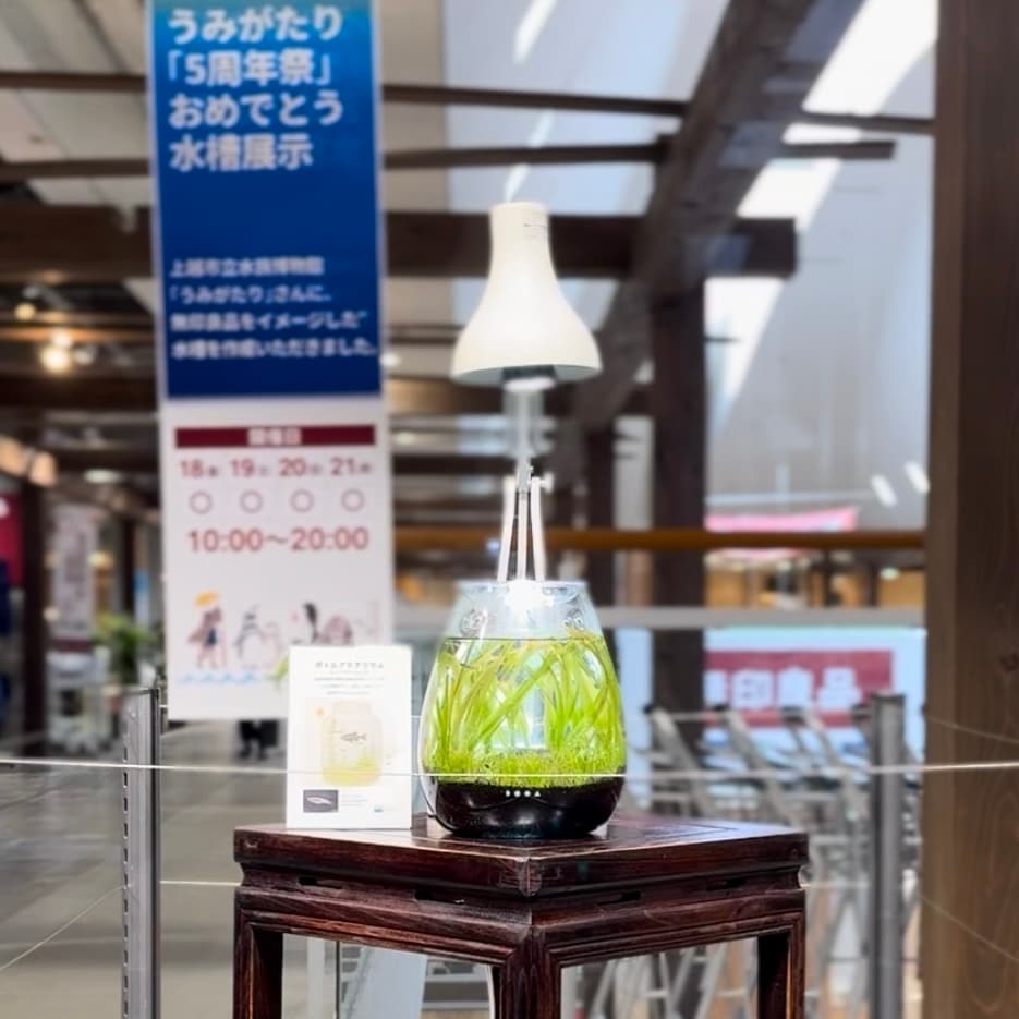 水槽