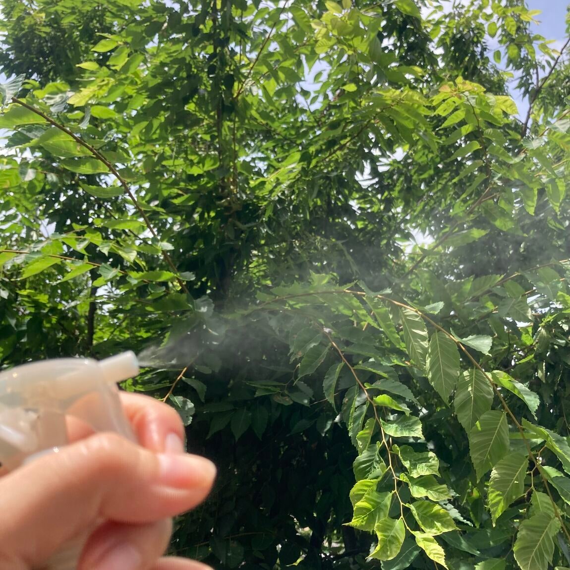 肌の天然水ミスト