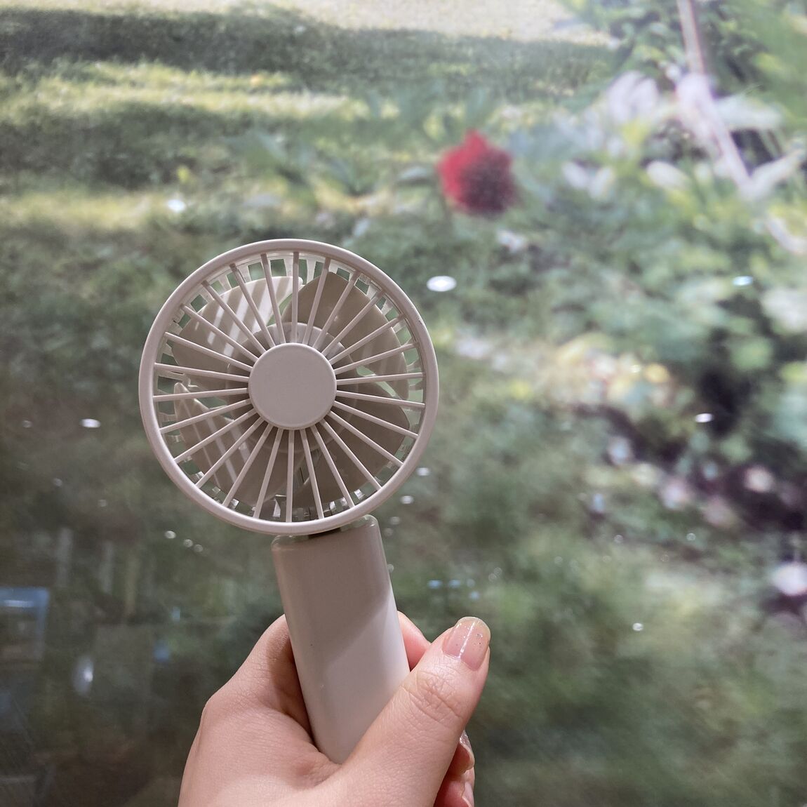 ぴんくにみえるね