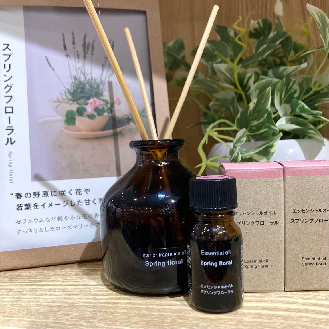 【テラスウォーク一宮】スプリングフローラル①